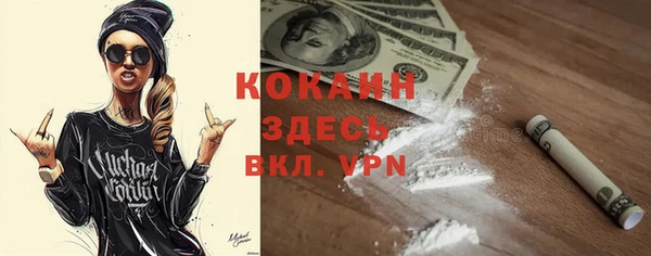 не бодяженный Бородино