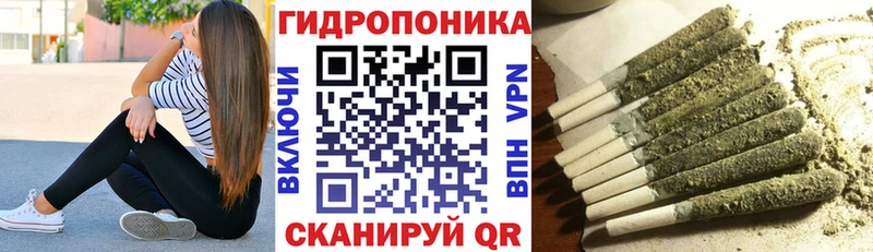 KRAKEN маркетплейс  наркота  darknet формула  Каннабис White Widow  Санкт-Петербург 